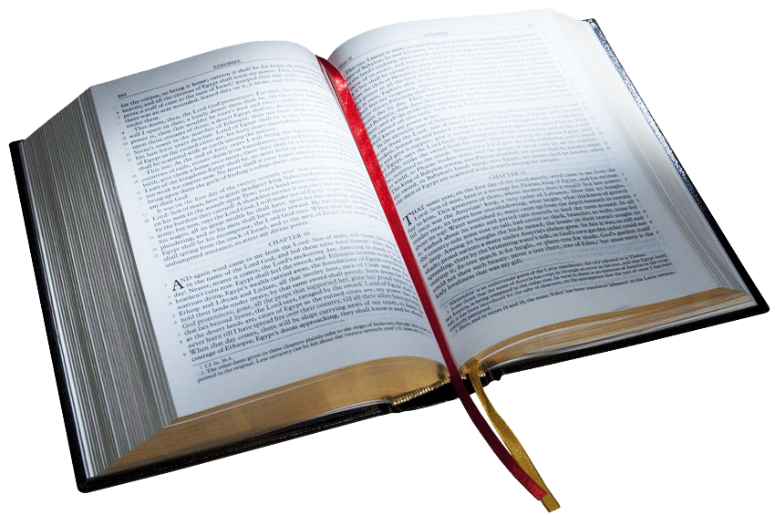 BA Bible Art - Open Bible │ Grace Truth Spirit GotLifeQuestions.com #GLQ PNG (4.0.0).png