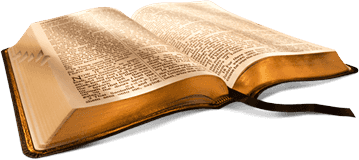 Bible - PNG Golden Rod KJV Open Book │ Grace Truth Spirit GotLifeQuestions.com #GLQ (1.0.0).png