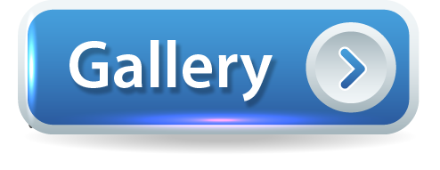 Gallery - Button Blue Icon │ Got Life Questions GotLifeQuestions.com #GLQ