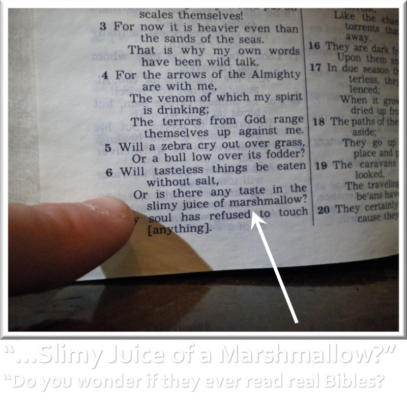 JW Jehovahs Witnesses JW.org - Slimy Marshmallows PNG │ Exposed Grace Truth Spirit GotLifeQuestions.com #GLQ (1.0.0).png