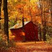 Outdoors - Autumn Cabin Forest Bible Truthworks Artwork %u2502 Grace Spirit Truth GotLifeQuestions.com #GLQ (1.0.0).jpg