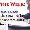 POW - Proverbs 12 4 Proverbs of the Week JPG Bible Truthworks Artwork %u2502 Grace Spirit Truth GotLifeQuestions.com #GLQ (1.0.0).jpg