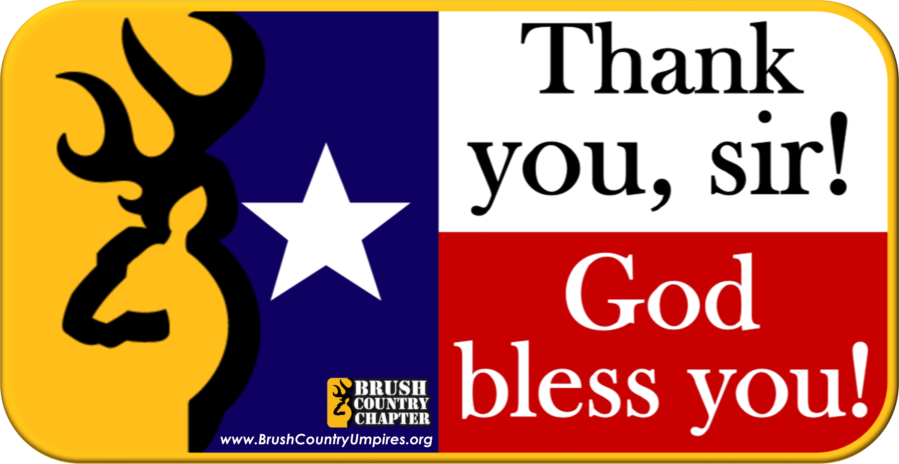 TY Thank You - Thank You Texas Flag White God Bless You Browning Gold Chapter PNG │ BrushCountryUmpires.org TASO Baseball Chapter GotLifeQuestions.com #Umpire (2.0.0).png